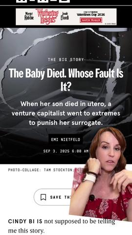 A Wired Long-Form Article About Surrogacy That Should Be Required Reading